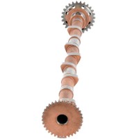 Camshaft and Cam Followers