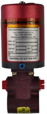 Fuel Pumps