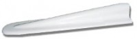 Dorsal Fin Tips